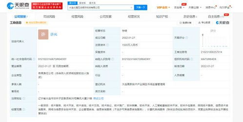 构筑数字时代的守护壁垒 网络与信息安全软件开发新探